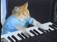 cat spamming keyboard gif|Cat Playing Keyboard GIFs .